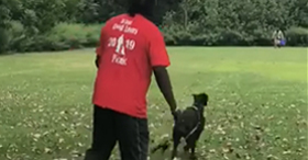 Thumbnail of a video